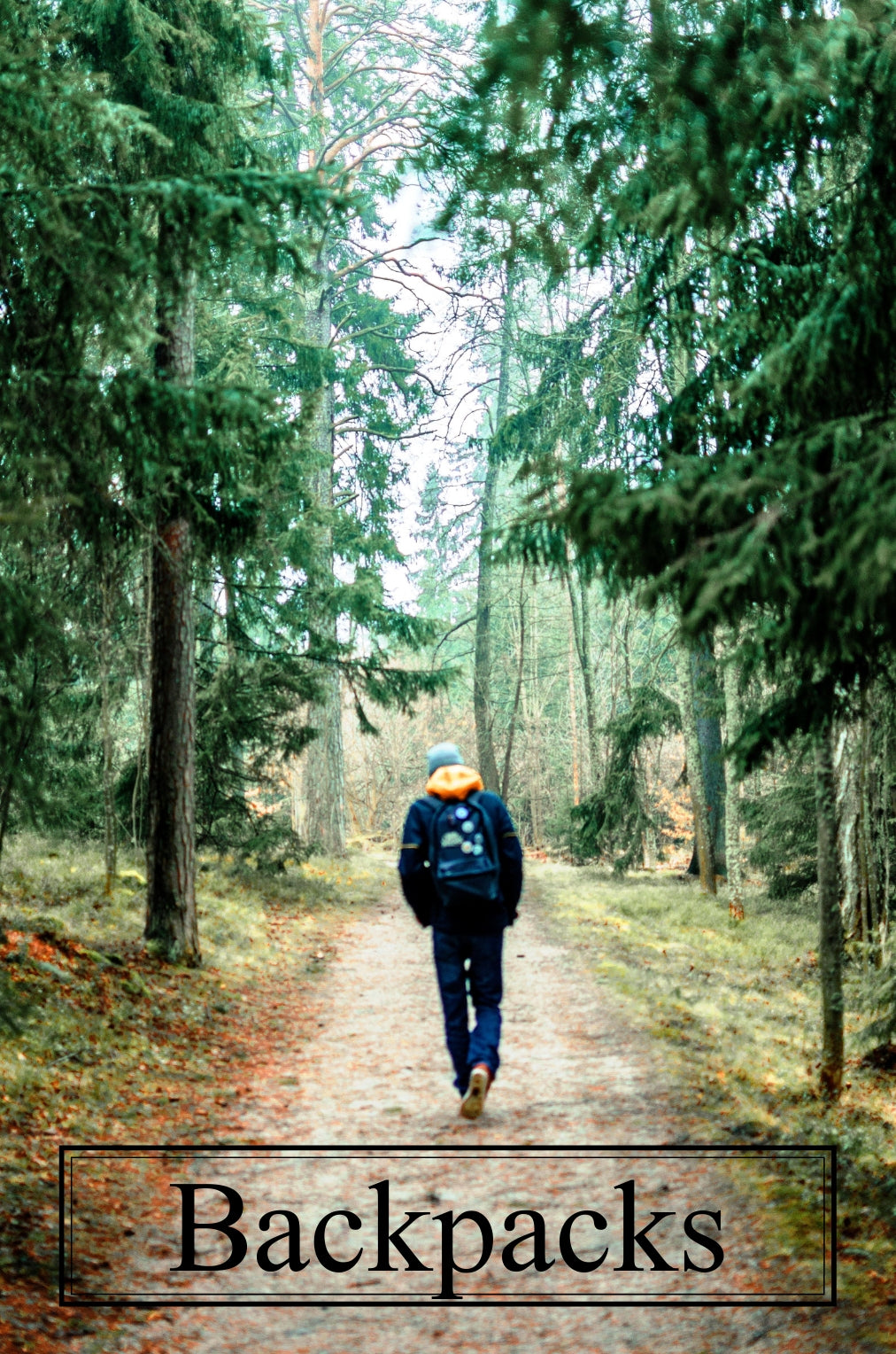 /collections/backpacks