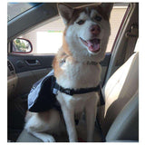 Canine Trek Saddle Bag  Veebee Voyage