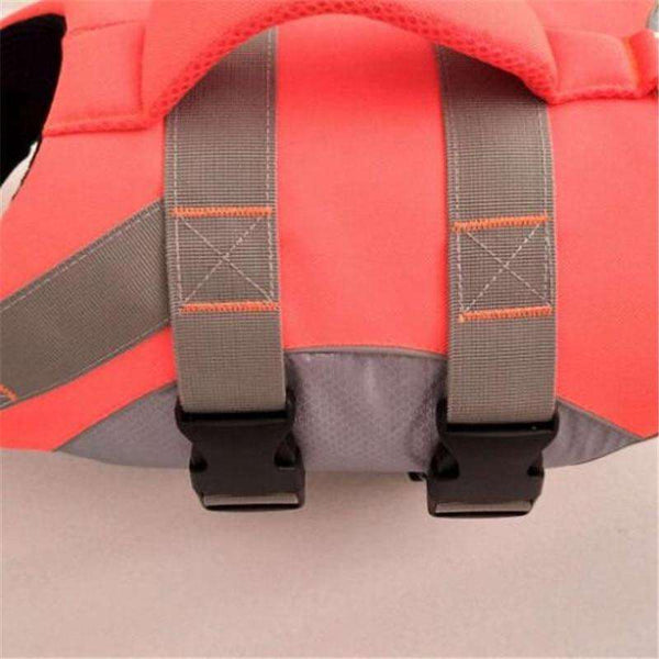 Hightide Pet Life Jacket  Veebee Voyage