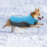 Rover Winter Dog Jacket  Veebee Voyage