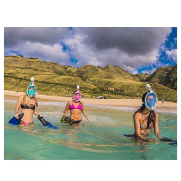 Anchor Bay Full Face Snorkeling Mask  Veebee Voyage