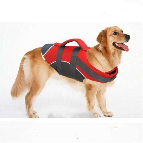 Hightide Pet Life Jacket  Veebee Voyage