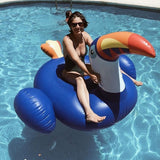 Seaside Life Toucan Float  Veebee Voyage