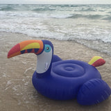 Seaside Life Toucan Float  Veebee Voyage