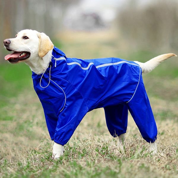 Jerico Dog Raincoat  Veebee Voyage