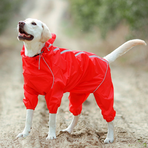 Jerico Dog Raincoat  Veebee Voyage