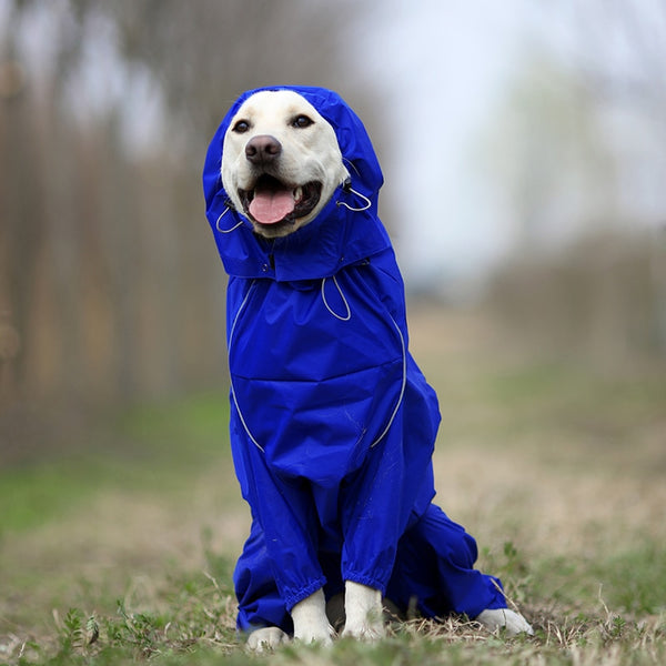 Jerico Dog Raincoat  Veebee Voyage