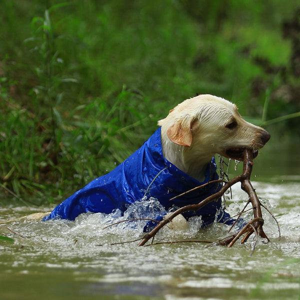 Jerico Dog Raincoat  Veebee Voyage