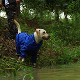 Jerico Dog Raincoat  Veebee Voyage