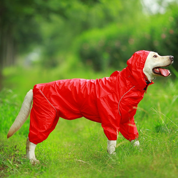 Jerico Dog Raincoat  Veebee Voyage