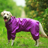 Jerico Dog Raincoat  Veebee Voyage