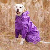 Jerico Dog Raincoat  Veebee Voyage