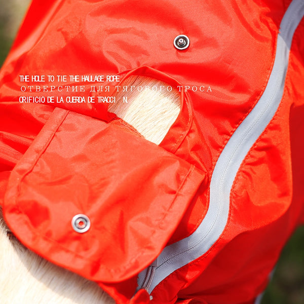 Jerico Dog Raincoat  Veebee Voyage