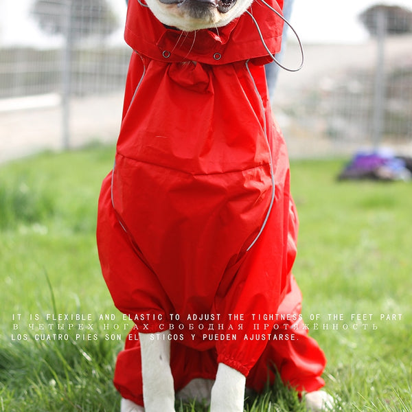 Jerico Dog Raincoat  Veebee Voyage