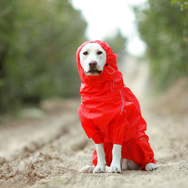 Jerico Dog Raincoat  Veebee Voyage