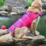 Mermaid and Shark Dog PDF Jackets  Veebee Voyage