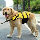 Rover Ranger Pet Life Jacket  Veebee Voyage