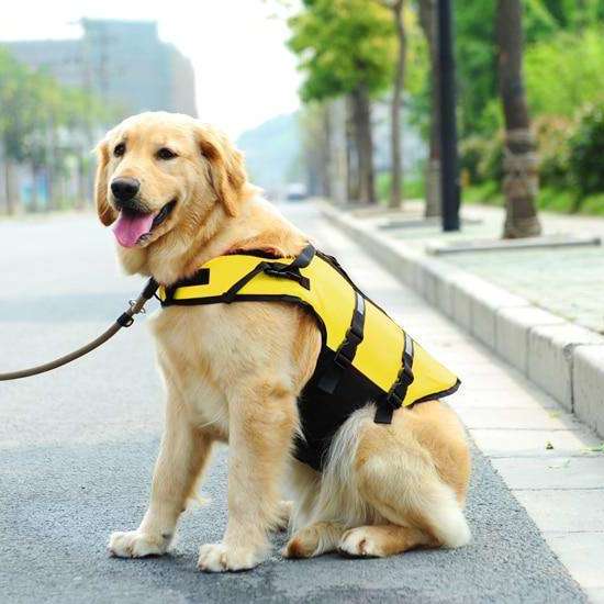 Rover Ranger Pet Life Jacket  Veebee Voyage