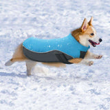 Rover Winter Dog Jacket  Veebee Voyage