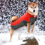 Rover Winter Dog Jacket  Veebee Voyage