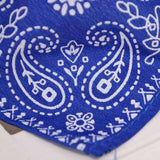 Swish Swag Pet Bandanna Scarf Collar  Veebee Voyage